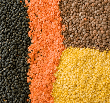 Pulses